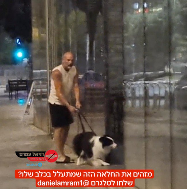 daniel amram - דניאל עמרם tweet media