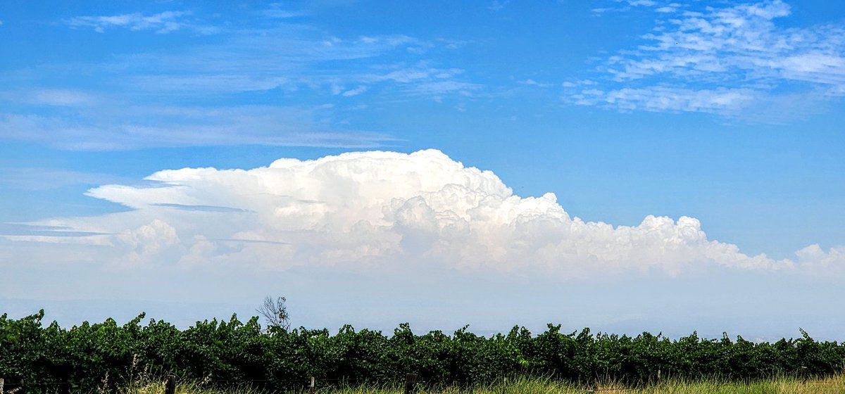 Andrew Yrigollen tweet media