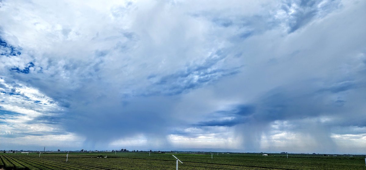 Andrew Yrigollen tweet media