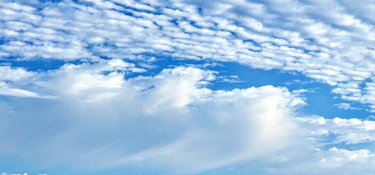 Andrew Yrigollen tweet media