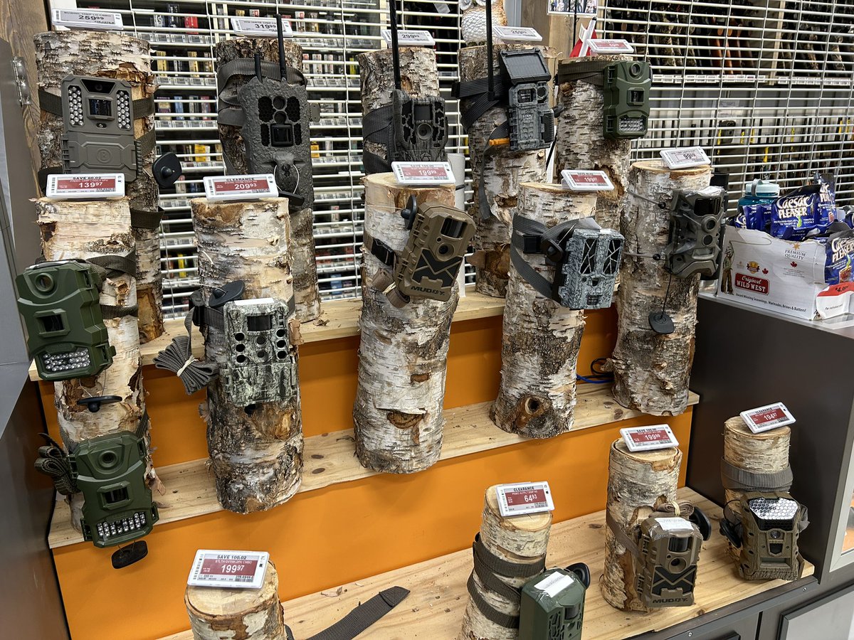 MadForMaple's tweet image. Thinking of @japantrailcam right now! #CanadianTire #outdoors