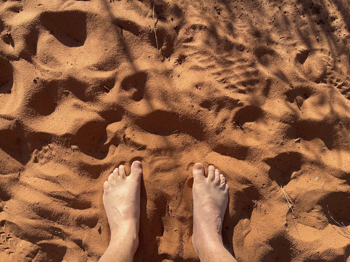 Recalibrating. #DinosaurCoast #Broome