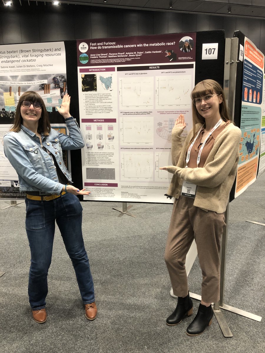 Busy days at #ICG2023 check out <a href="/AnneLise_Gerard/">Dr Anne-Lise Gérard</a> and <a href="/Caitlin_Vanbeek/">Caitlin Vanbeek</a>'s poster about the "Fast and furious, how transmissible cancers survive the metabolic race".  Want to know more? Check poster 107 tomorrow!  Cell culture designs by the fabulous <a href="/SiddleHannah/">Dr Hannah Siddle</a>
