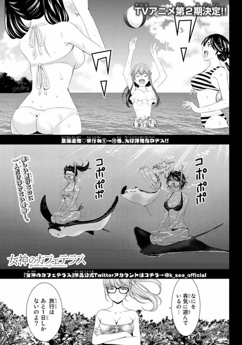 今日はマガジンの発売日。  「女神のカフェテラス」第113話は あの子が意外とチョロインだった事が発覚。 間違いなく飛んだ!というお話です。