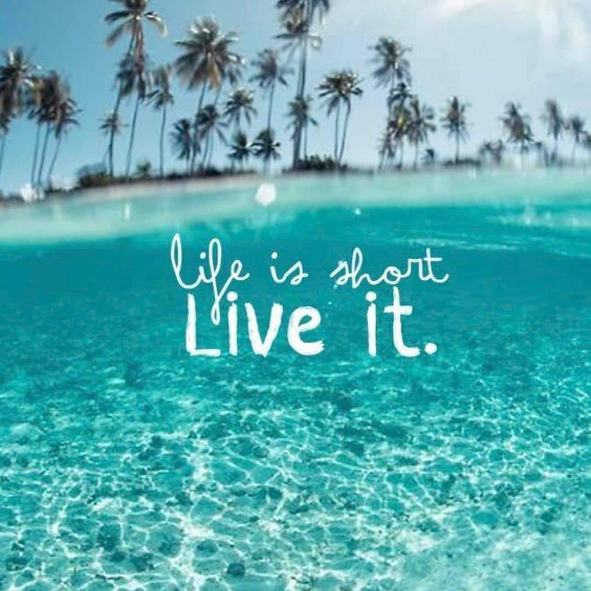 RealtyJcfrancis's tweet photo. #life #quotes #prosum #prorsum #ThinkBIGSundayWithMarsha https://t.co/nqe4ikMuAB