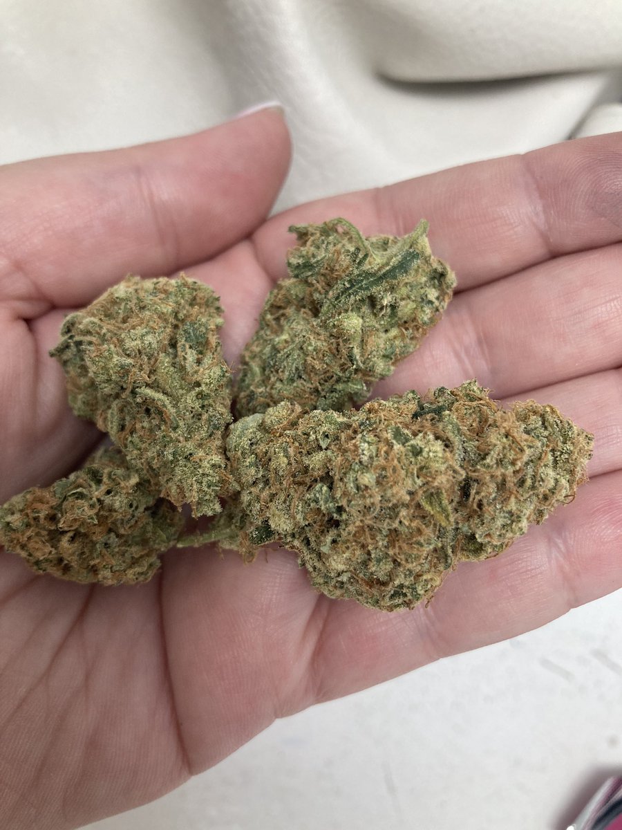 𝒞𝒶𝓁𝓏𝓏𝓏 🌻 tweet media