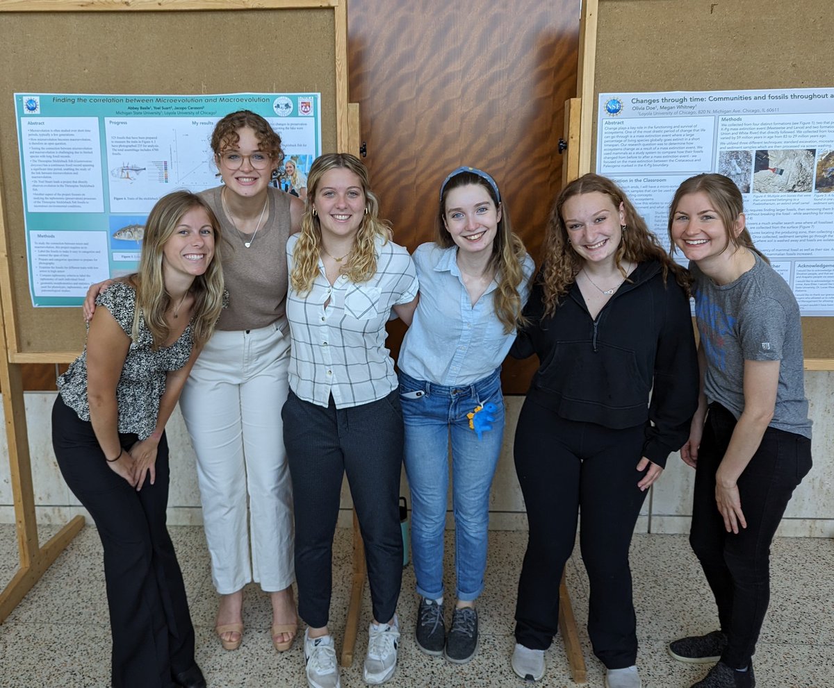 Mike Grillo tweet media