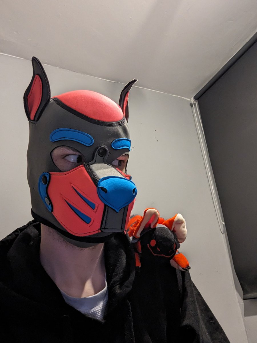 Pup_Spud's tweet photo. Anyone know if fabric paint works on these hoods 👀 asking for a friend 🐾 https://t.co/d8eWXLA93F