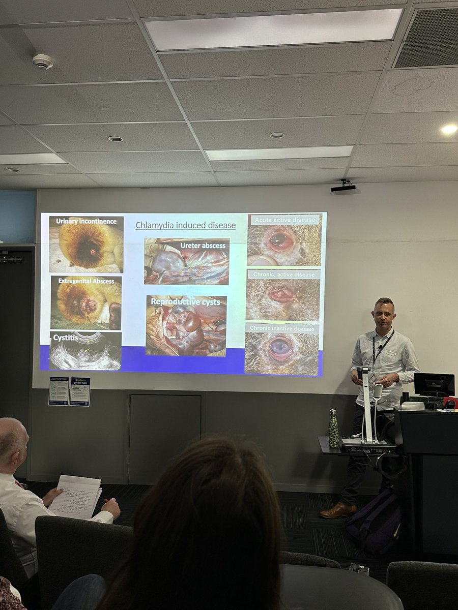 Centre for Bioinnovation (@cbioinnovation) on Twitter photo Research Talks! Dr Sam Phillips presents #Chlamydia induced #disease in #koalas and the positive results of #vaccine trials at the <a href="/usceduau/">UniSC: University of the Sunshine Coast</a> Research Conference #bioinnovation Research Talks! Dr Sam Phillips presents #Chlamydia induced #disease in #koalas and the positive results of #vaccine trials at the <a href="/usceduau/">UniSC: University of the Sunshine Coast</a> Research Conference #bioinnovation
