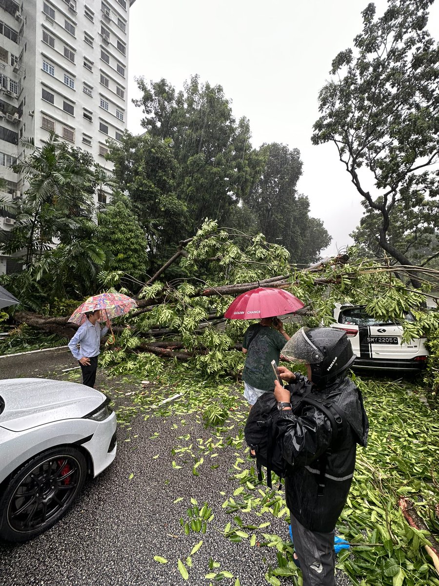 twangky's tweet photo. Fallen tree on CTE towards AYE https://t.co/RZJE9yJjIr