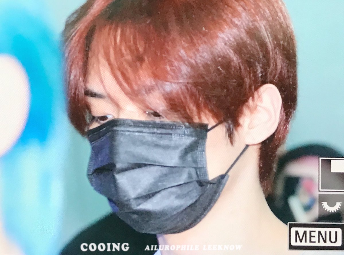 cooing_leeknow's tweet photo. pre.230719 ICN 우리노💛 

#리노 #Leeknow #스트레이키즈 #StrayKids https://t.co/d6mT7NlbcM