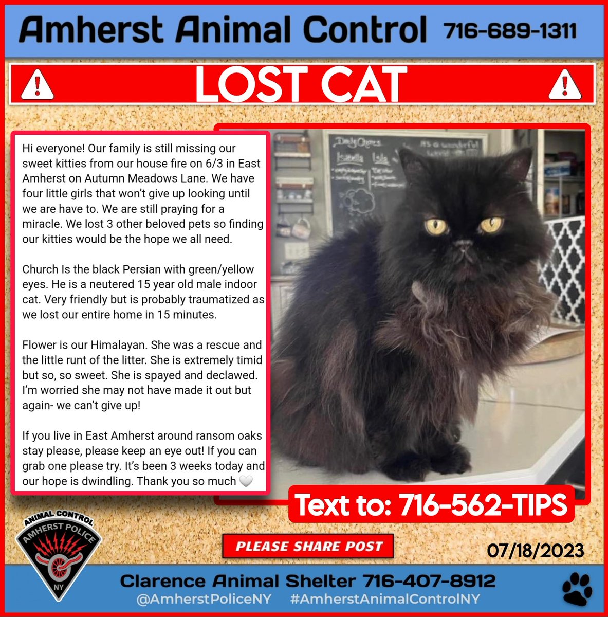 #AmherstAnimalControlNY