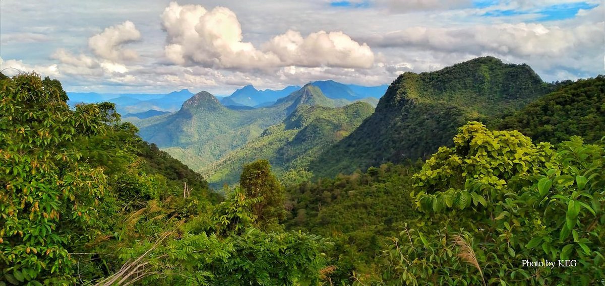 In the remote eastern region of #Myanmar, #ethnic communities in #Karenni State are conserving and protecting their #forests using customary rules and cultural #beliefs. bit.ly/3rCdmJl