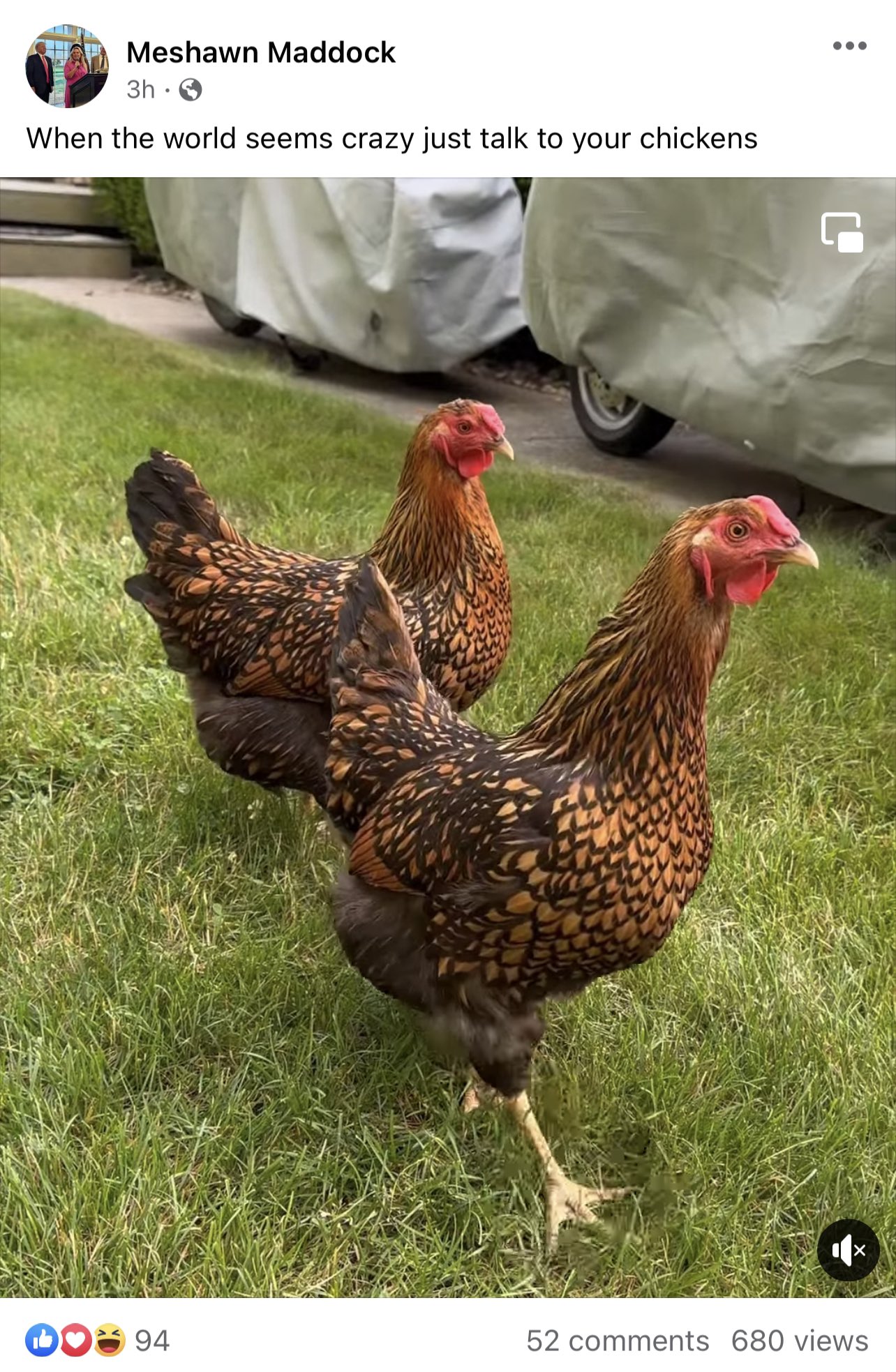 That Gay Guy Candle Co. on Twitter "She’s handling this well. https