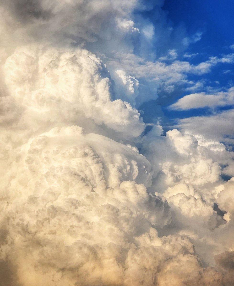 BadWeatherKyle's tweet photo. Oh heck ya...gimme ALL that deep, moist convection https://t.co/mSY7Ouwa0P