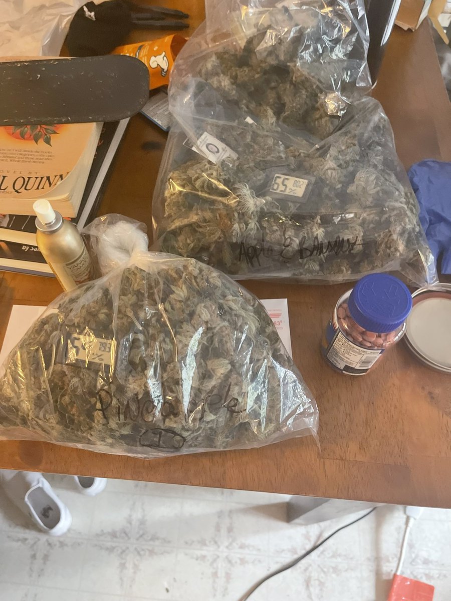 TNuts420's tweet photo. @jelynchjr Is it really smoking, if you grow it yourself? https://t.co/i2GSYQK08e