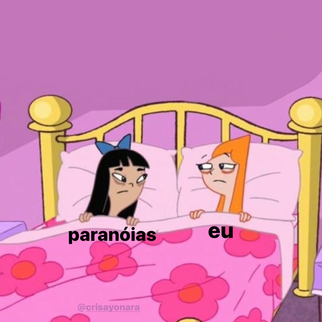 dormindo com a minha companhia de sempre