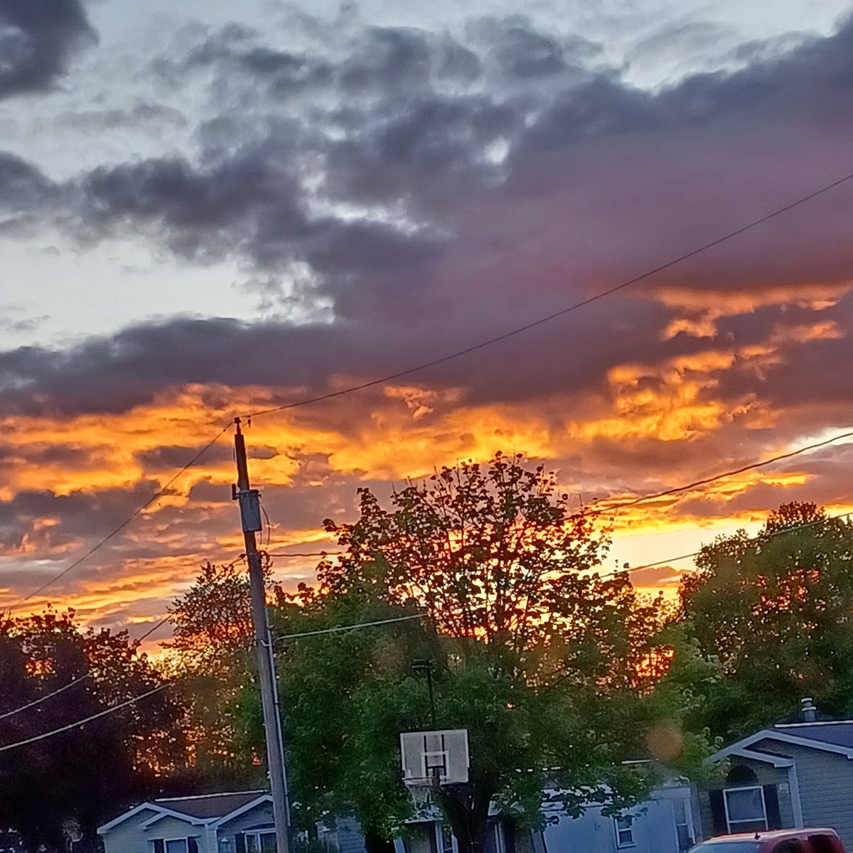 Peter Thomas (@johntho86713396) on Twitter photo 