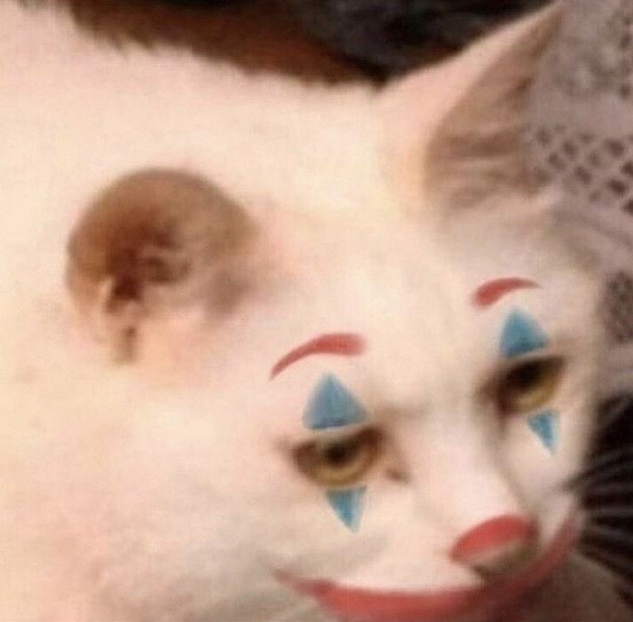 I'm Giuls 🦋 tweet media