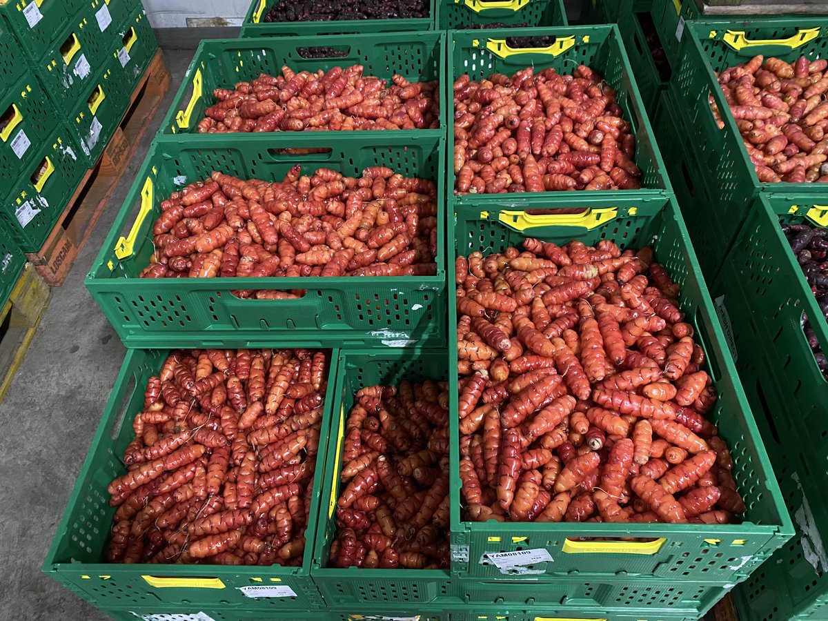 unitedfreshnz's tweet photo. Yam season will run until around October this year. These are red Halfords yams, grown in the Fielding area. Also available are apricot and yellow yams #unitedfreshnz #FreshDirect #Halfords #NZwinterveg https://t.co/Ot1tjjycvl