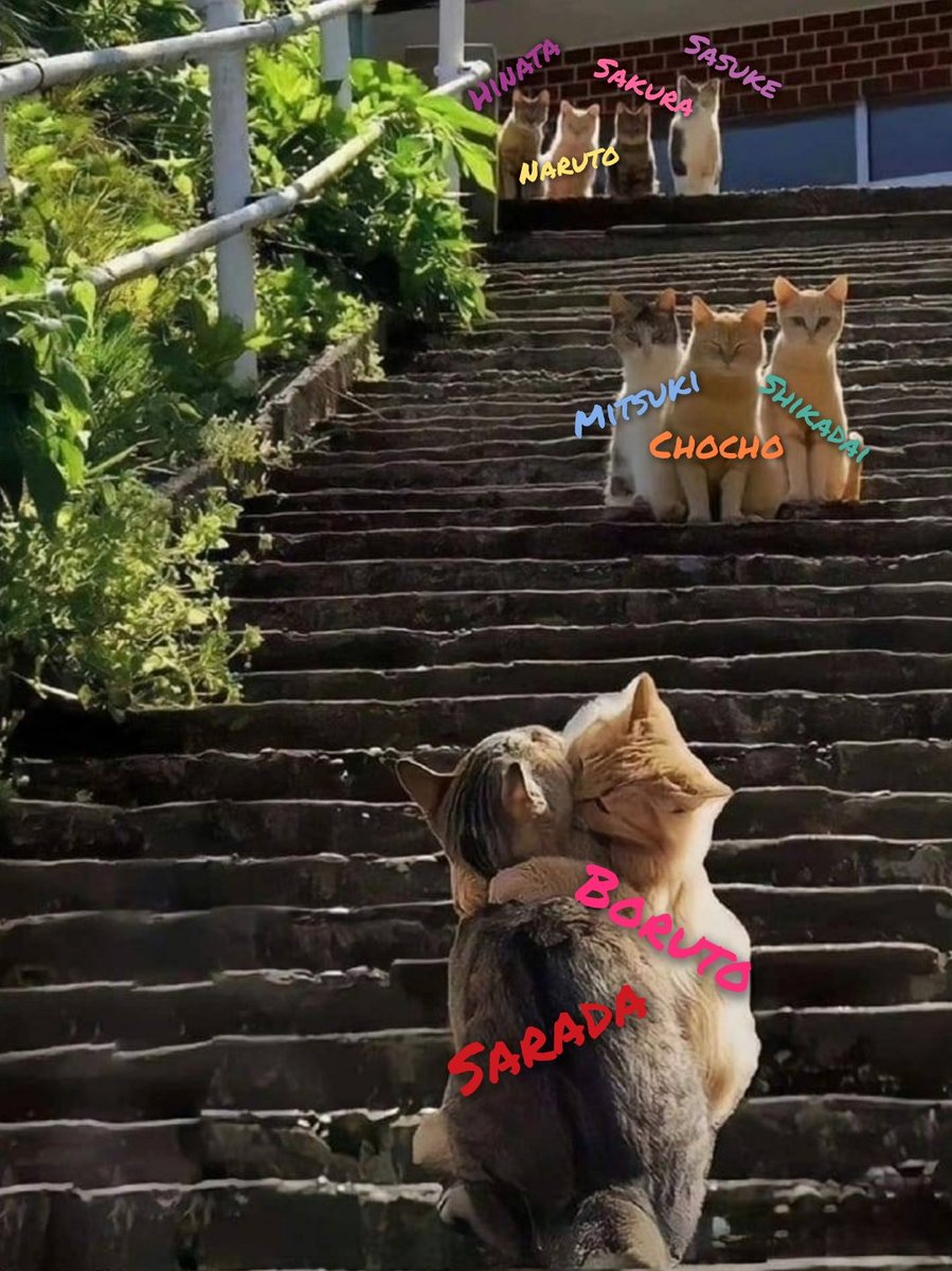 JamooRRM's tweet photo. #BoruSara #ボルサラ Everyone knows it, especially their parents and closest friends, they just need to accept it... https://t.co/Wg9b2UhikE
