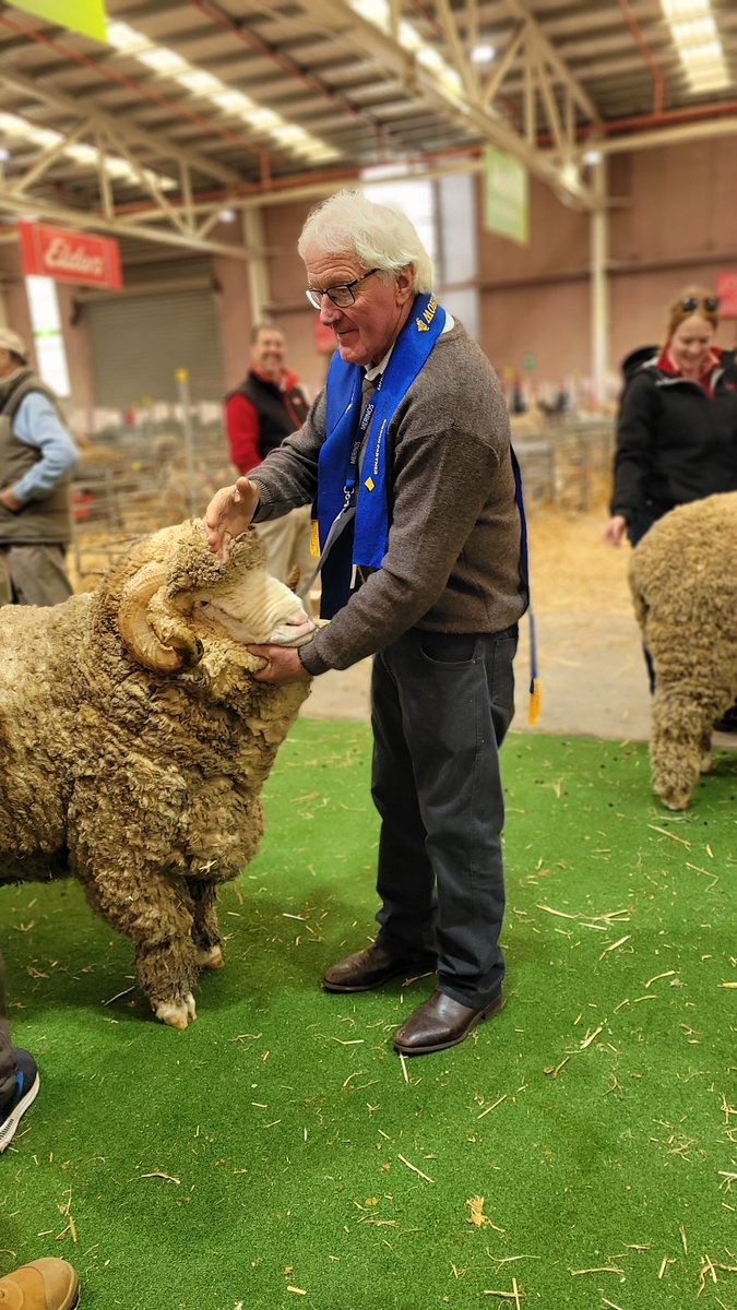ZondiiPtyLtd's tweet photo. Wow! Our team was overwhelmed by the buzz around our on-farm wool testing technology at the @AUS_SheepShow! Our feet still haven’t hit the ground! 🙌

The exceptional quality of rams and fleeces on display instills a bright future for #wool.

We can’t wait to be back next year! https://t.co/z9EU5Ep8ib