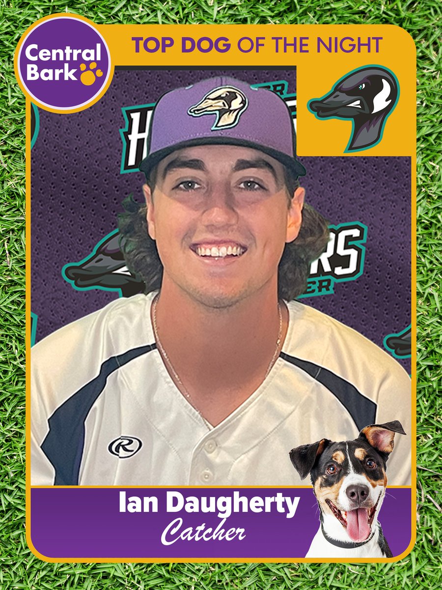 We secured our fourth straight victory in thrilling fashion, defeating Willmar 4-3. Ian Daugherty's three-run home run was the difference! He stays hot, and is our <a href="/CentralBarkRCH/">Central Bark Rochester</a> Top Dog of the Night! #CentralBarkRochester #FunForTheWholeFlock