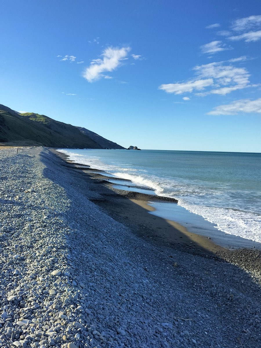 Sarah_McSweeney tweet media