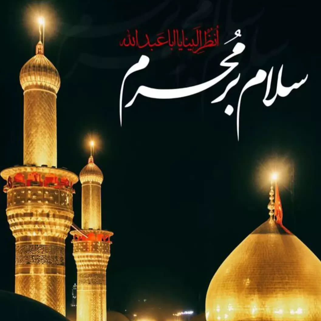 روی گنبدت پرچم عزای ماتمت را دیدیم 
شکر خدا باز به محرمت رسیدم......

السلام علیک یا ابا عبدالله الحسین 

.
#ما_ملت_امام_حسینیم 
#یالثارات_الحسین
