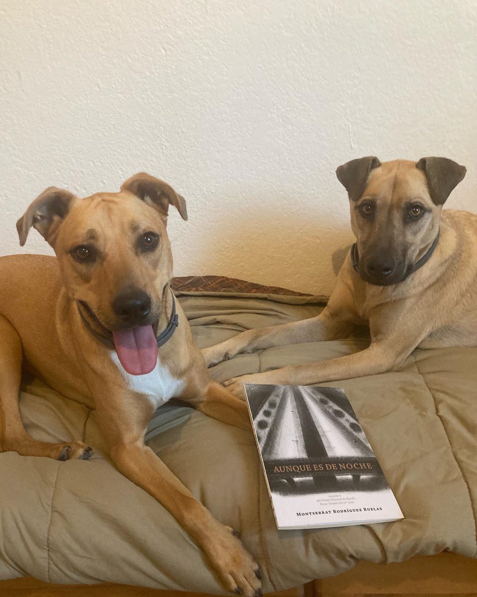 “Aunque es de noche” de venta en:

📍Tijuana 
<a href="/Caraduratijuana/">Ediciones Caradura</a> 
Cafebrería Aletósfera 
El Grafógrafo
Librería Sor Juana

📍CDMX
<a href="/elsotanolibros/">Librerías El Sótano</a> 
<a href="/Laincreiblelat/">La increíble</a> 

📍En línea:

elsotano.com/libro/aunque-e…

<a href="/eddellirio/">Ediciones del Lirio</a> 
edicionesdellirio.com.mx/index.php/prod…