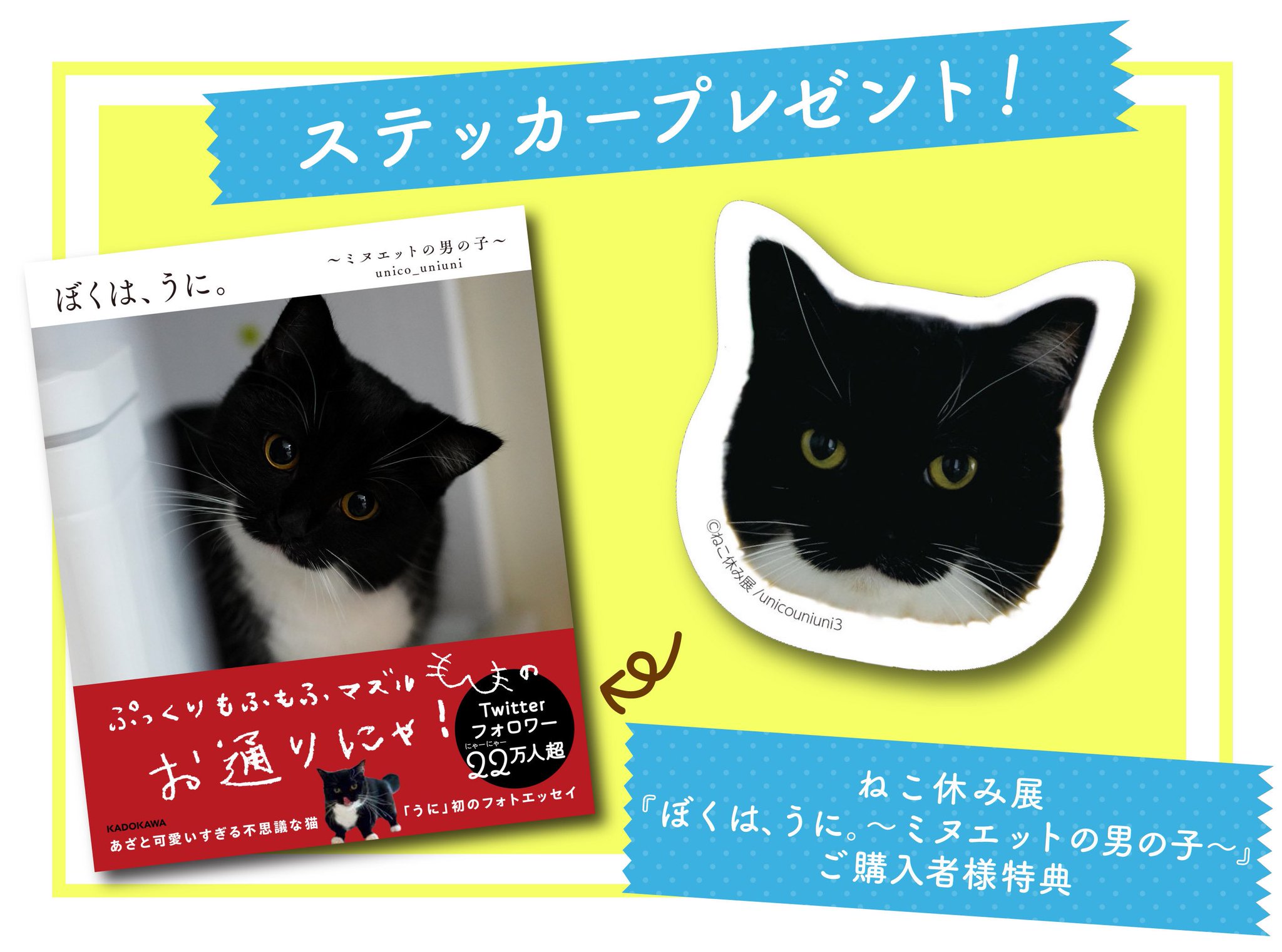 kuro nekoさま購入予定 41YCCNRRHOL.jpg_BO30,255,255,