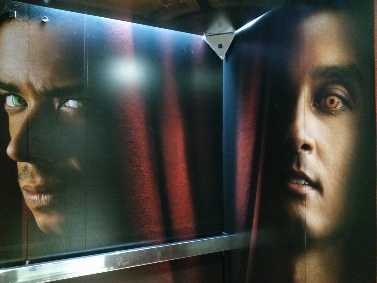 Sarabeth Pollock tweet media