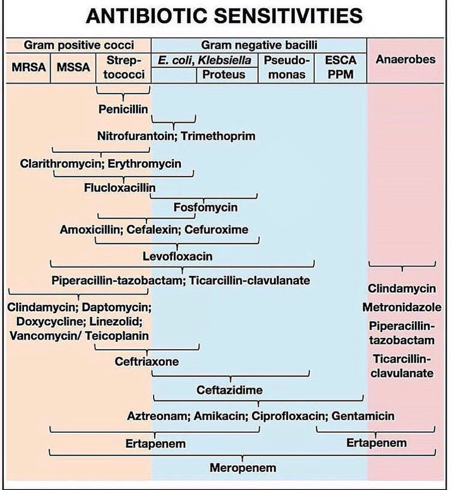 The Innovation Medicine On Twitter Antibiotic Sensitivities H t the-innovation-medicine-on-twitter-antibiotic-sensitivities-h-t