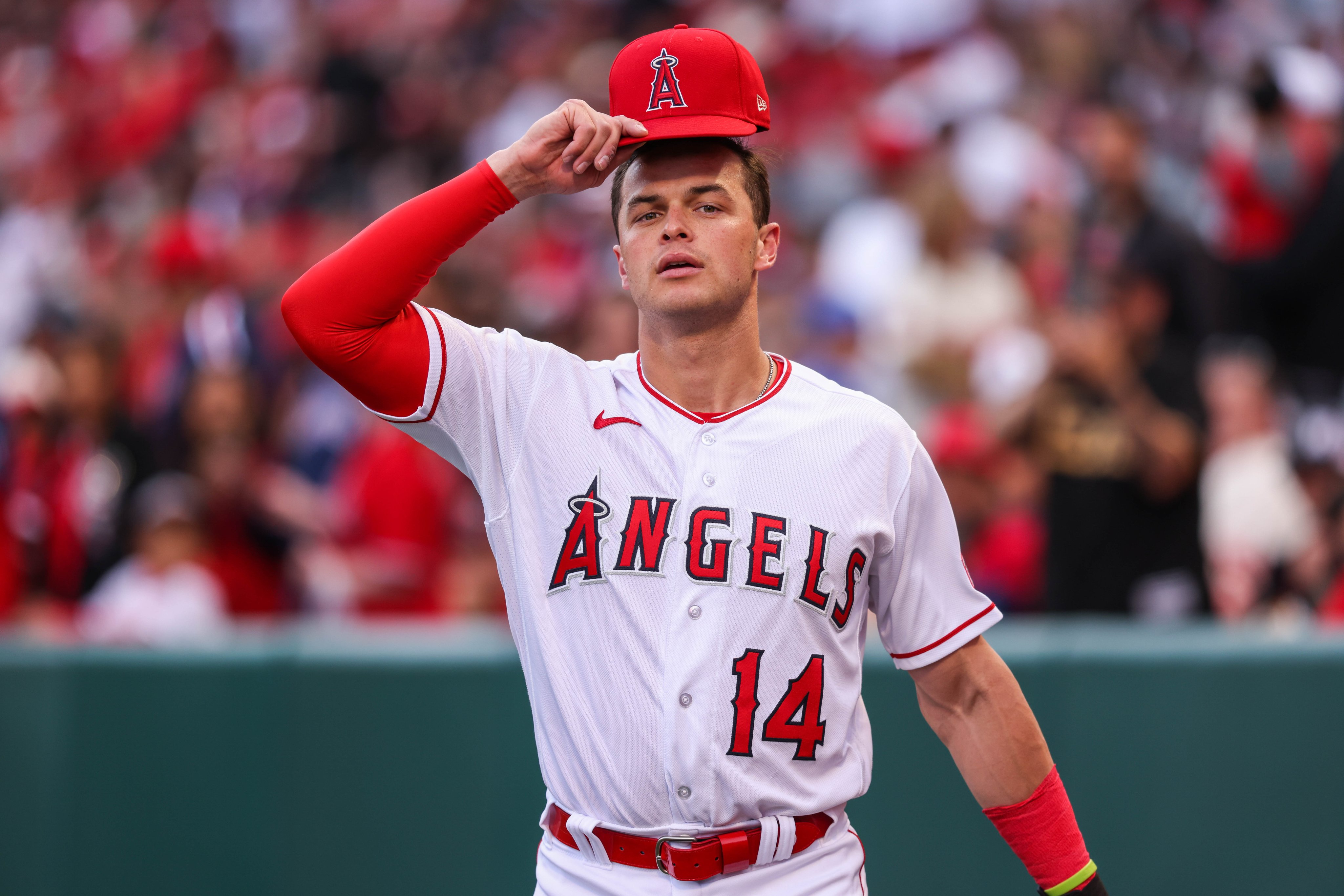 MLB Pipeline on X: For the first time since injuring his left shoulder on  April 20, Logan O'Hoppe was able to put on his gear and catch today. If the  top #Angels