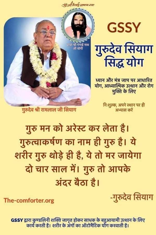 #ShivAvtaariGangaiNath When meditation on  GuruDev Siyag's photo is practiced at the Third eye, the disruptive mental tendencies r arrested &amp; deeper concentration &amp; a feeling of Causeless Bliss is experienced in GuruDev Siyag's Siddhayoga meditation