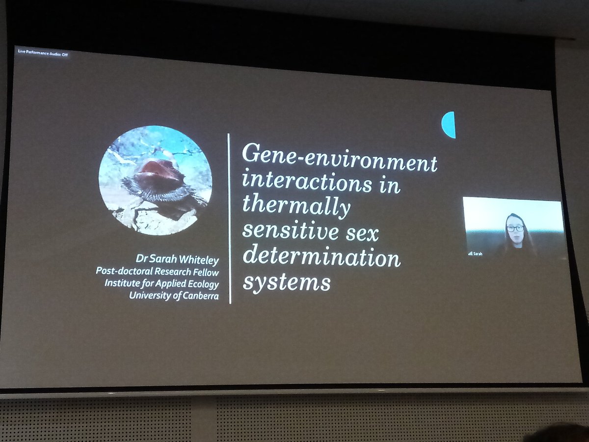 Congratulations to Sarah Whiteley on being the 2023 recipient of the @GeneticsAus ​​D.G. Catcheside Prize for her work on sex determination in dragons. @UCSciTech @UC_CCEG @UniCanberra