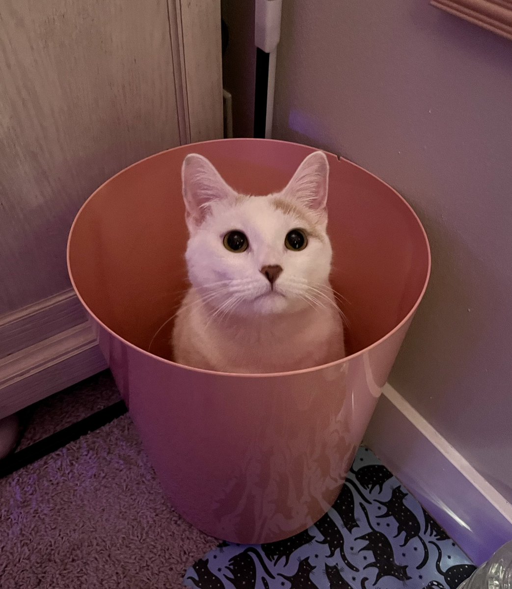 baystclair's tweet photo. thank U for existing eloise https://t.co/ri4NmpqU8h