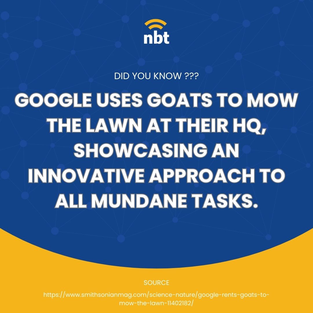 NBTechnologies's tweet photo. Google's green approach to lawn care? Hiring a team of goats to do the job at their HQ! https://t.co/bOWQiUCIaI