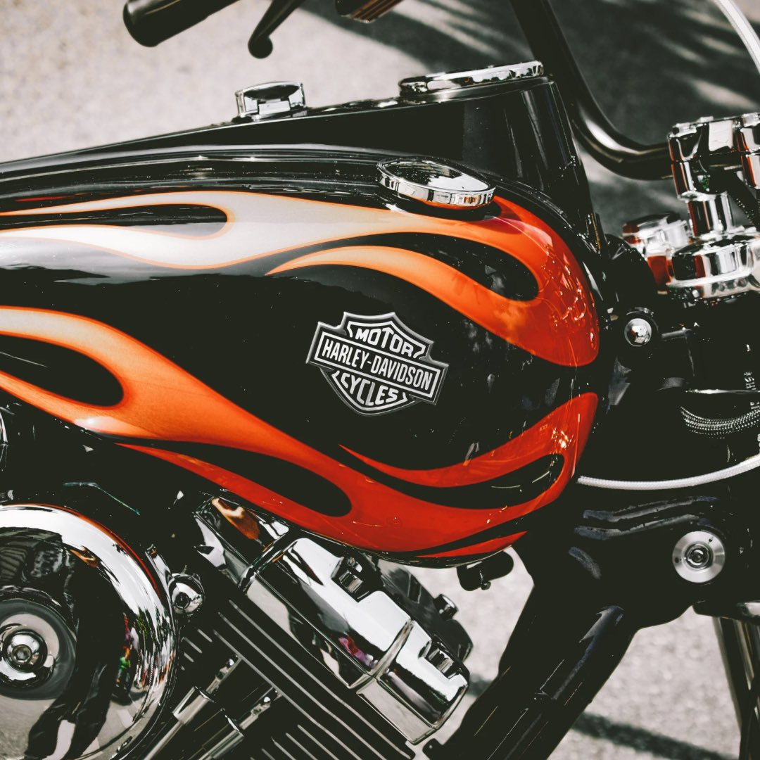 eldersofiron's tweet photo. 😎

#EldersOfIron #VroomJockey #VroomJockeyLife #Harley #HarleyDavidson #HarleyDavidsonMotorcycles #HOG #HarleyOwnersGroup https://t.co/Ip5VTPRSS8