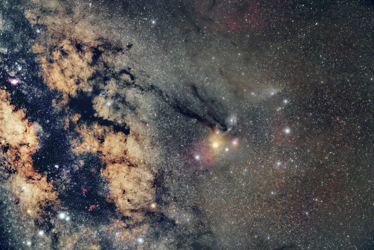 Sorry for being quiet the past couple days, but I just discovered a super dark part of this island I’m on and have been diligently shooting the Milky Way! My most detailed Milky Way photo ever is coming soon :) anyways, here’s what’s hidden around Scorpio: