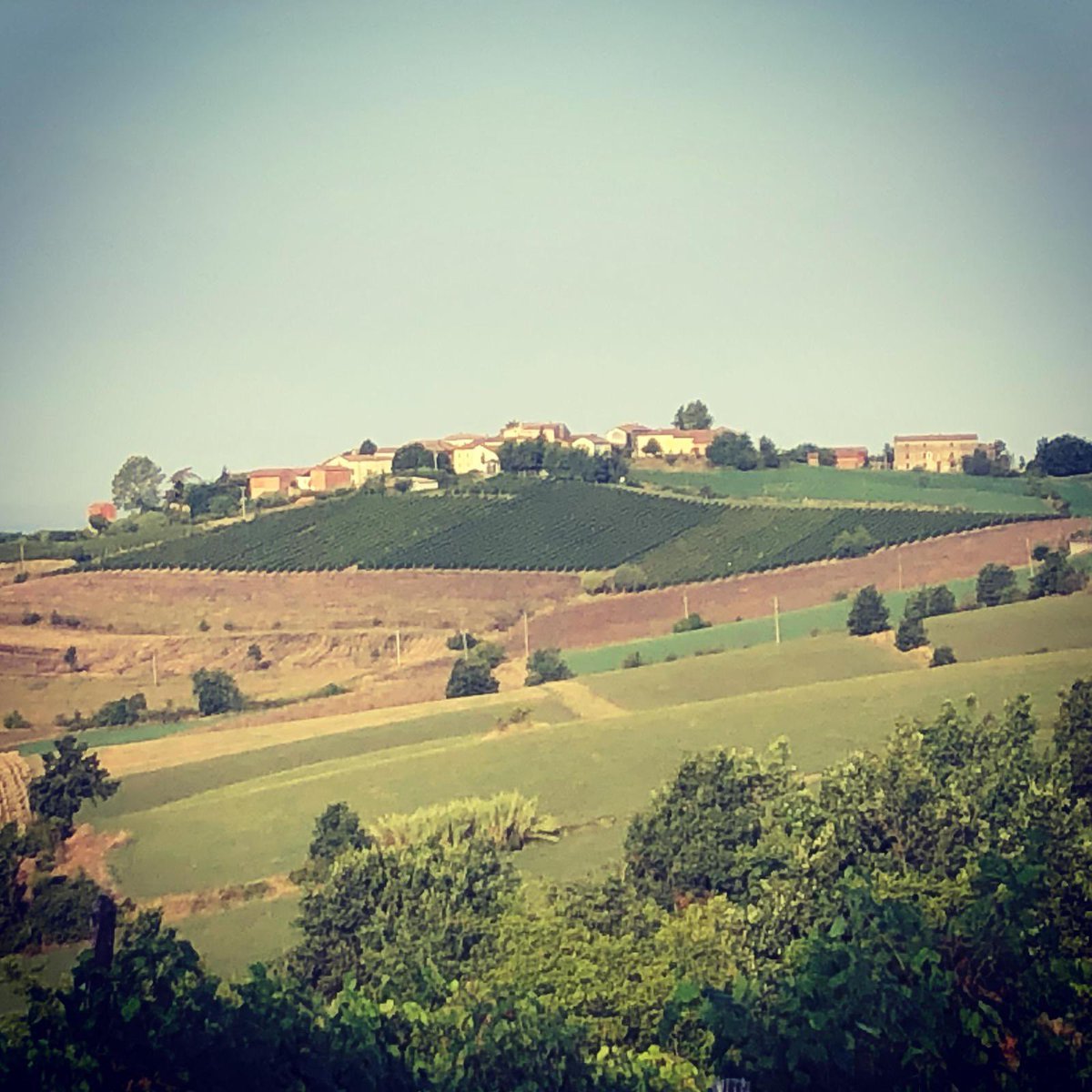 I #collitortonesi . Un territorio spettacolare a due passi da #milano 
Ps: wine boxes di #barbera #monleale doc ancora disponibili 🍷