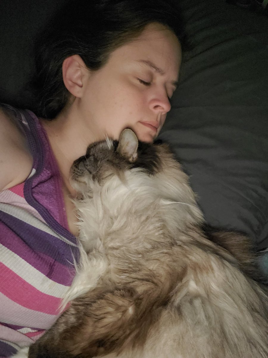 Karrin Murphy tweet media