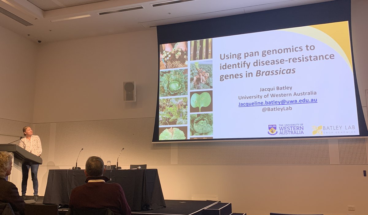 BatleyLabUWA (@batleylab) on Twitter photo Great to see so many people attending Jacqui's presentation at #ICG2023 on how pan genomes are an excellent resource for resistance gene identification in Brassica crops <a href="/UWAresearch/">UWA Research</a> <a href="/BiolSci_UWA/">School of Biological Sciences, UWA</a> <a href="/IOA_UWA/">The UWA Institute of Agriculture</a> Great to see so many people attending Jacqui's presentation at #ICG2023 on how pan genomes are an excellent resource for resistance gene identification in Brassica crops <a href="/UWAresearch/">UWA Research</a> <a href="/BiolSci_UWA/">School of Biological Sciences, UWA</a> <a href="/IOA_UWA/">The UWA Institute of Agriculture</a>