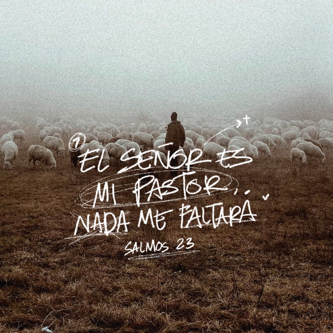 Preparas mesa delante de mí en presencia de los que me angustian.
Salmos 23.