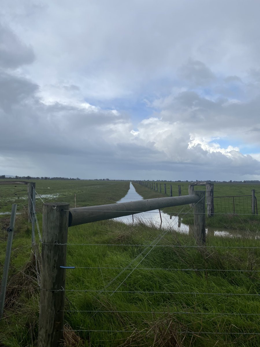 Bec Mackenzie - PHCC tweet media