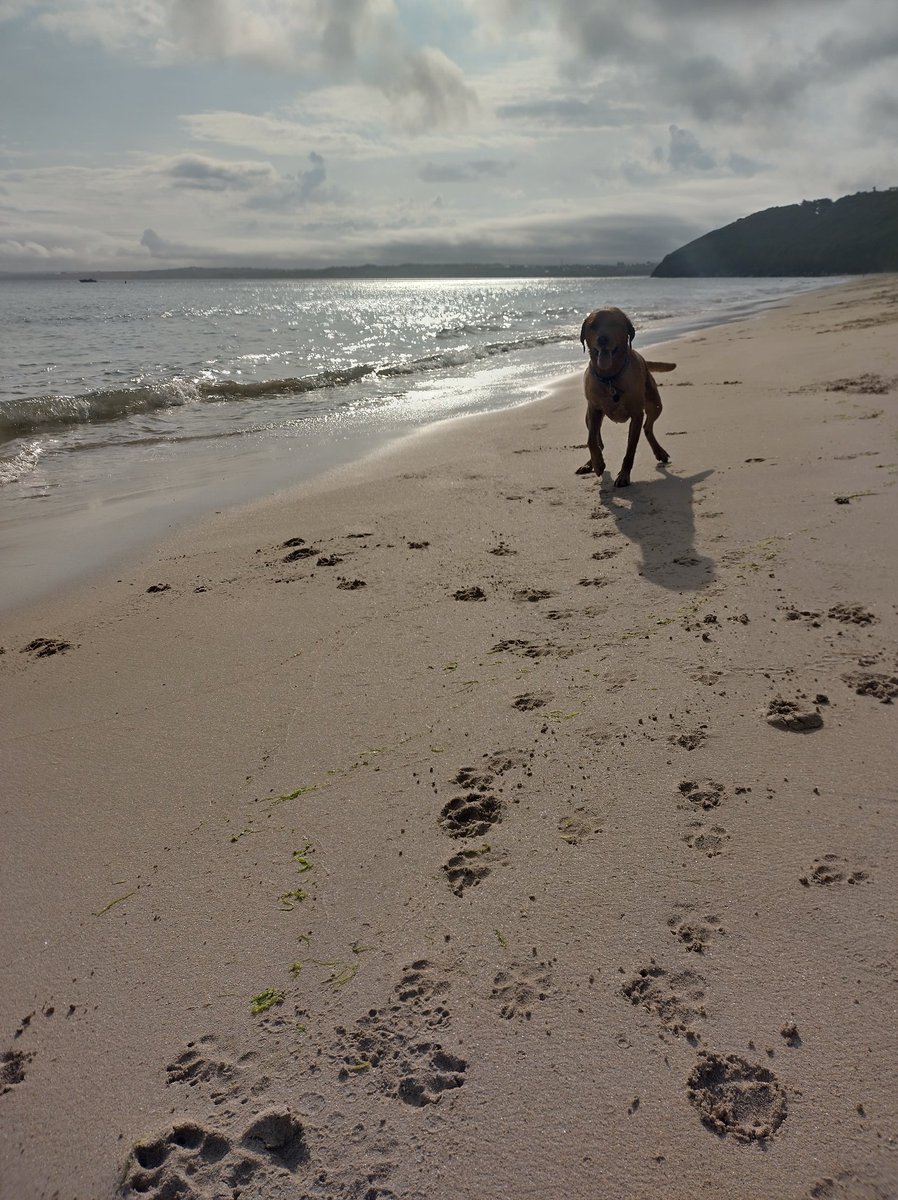 @No6Newquay <a href="/beauty_cornwall/">We ❤️ Cornwall</a> <a href="/dogslovebeaches/">Cornish Dog Beaches</a> Likewise on carbis bay 😉