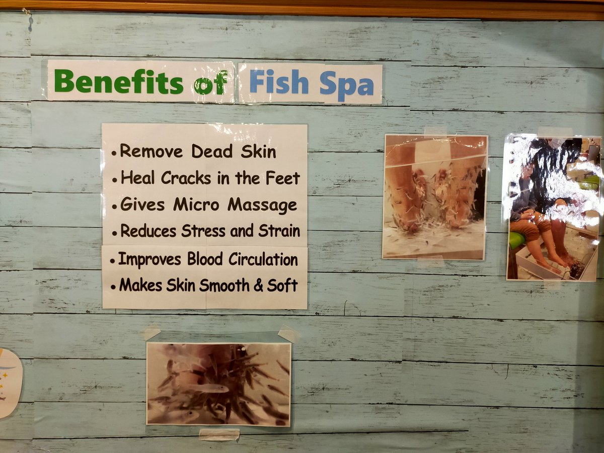 officejulia's tweet photo. how you guess? imagine for all your body treatment with my new partners🐟💞
#fishtheraphy
#GarraRufa
#DrFish
#mistresslife
#femdom
#dominatrix
#Fetish
#FemDom https://t.co/K51kEfvXk9