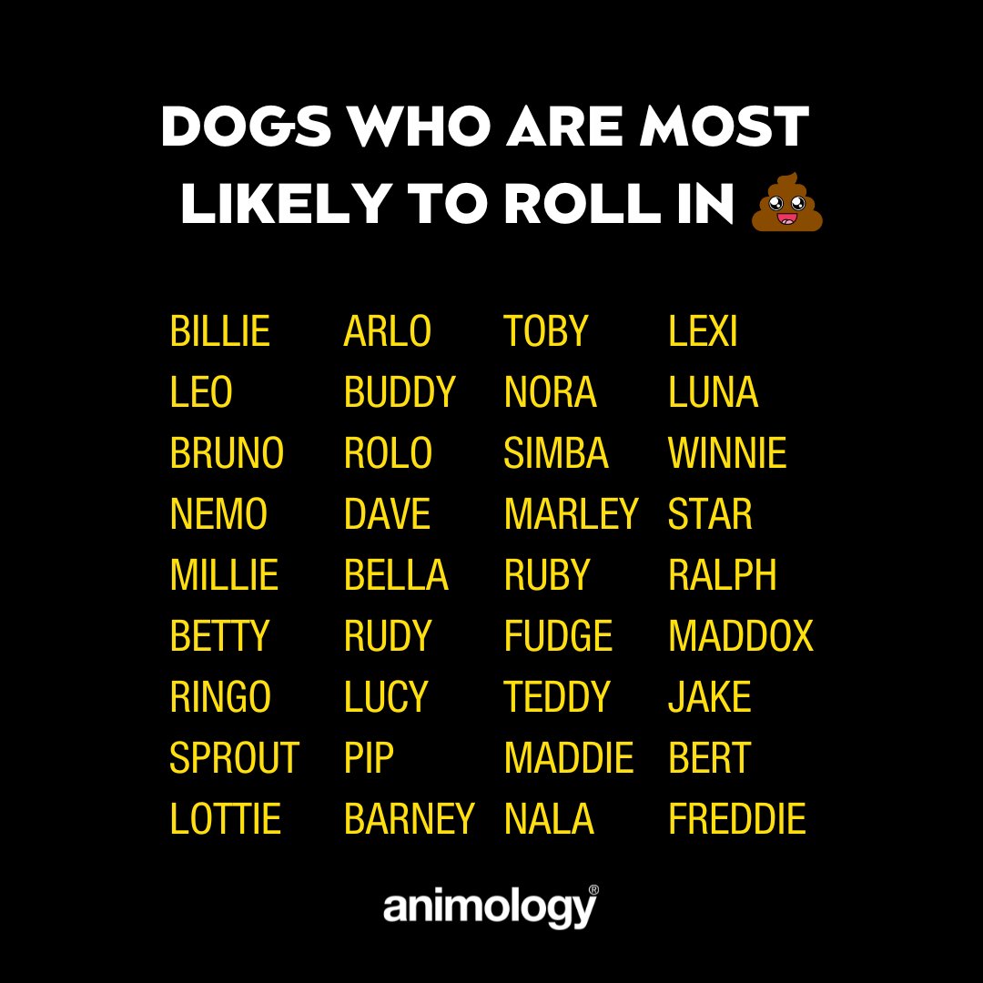 Did we get it right?

Let us know if your pooch should make the list