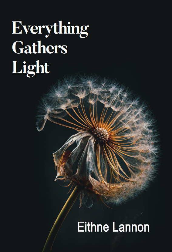 TurasPress's tweet photo. Huge thanks to @EileenCasey2 for her generous and perceptive review of #EverythingGathersLight, the stunning new poetry collection from @EithneLannon in this week's @SeniorTimesMag @dubcilib @fingallibraries @FingalPoetry @poetryireland @PoetrySociety https://t.co/l3oDx1TgOQ