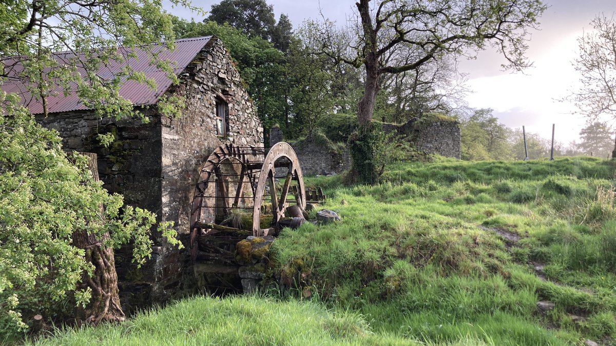 SPAB Ireland tweet media